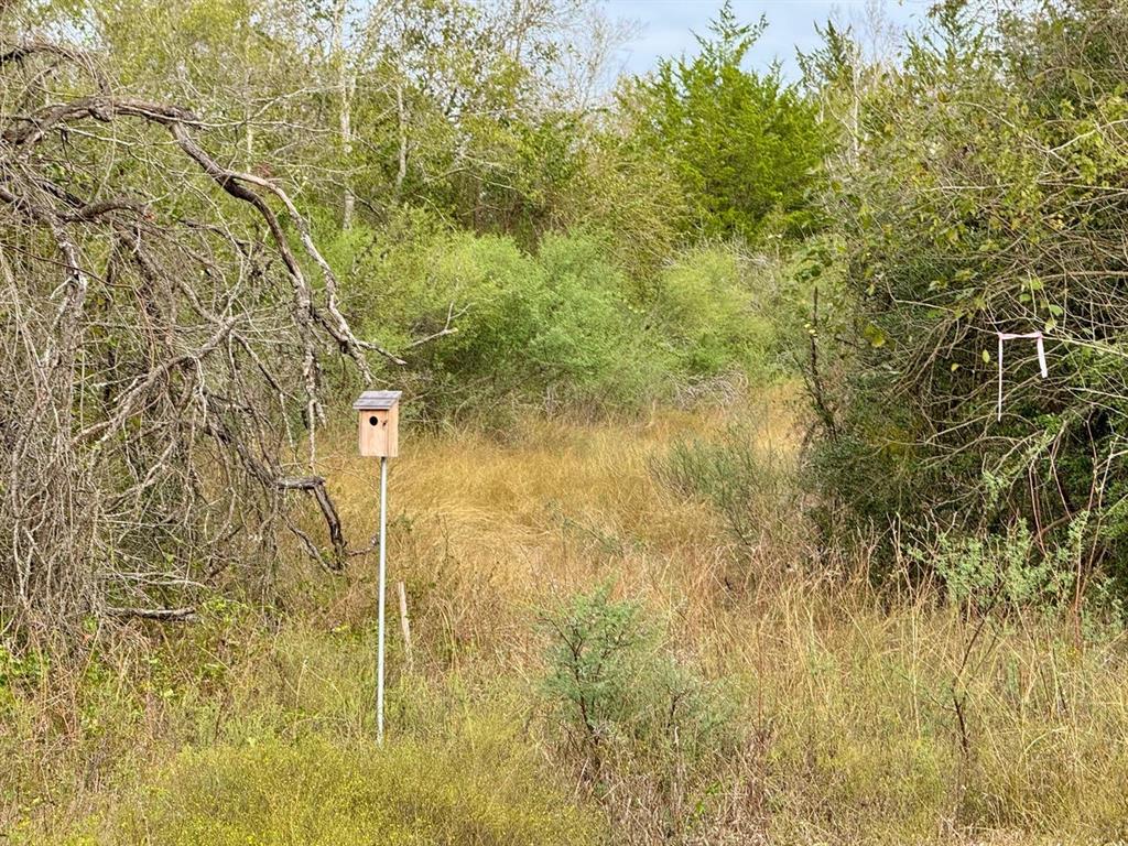 0000 Wooded Reserve Court, Washington, Texas image 3