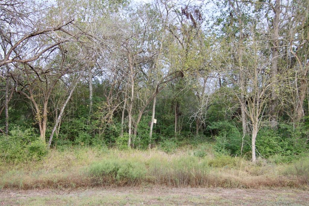 0000 Wooded Reserve Court, Washington, Texas image 12