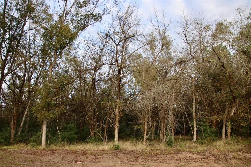 0000 Wooded Reserve Court, Washington, Texas image 8