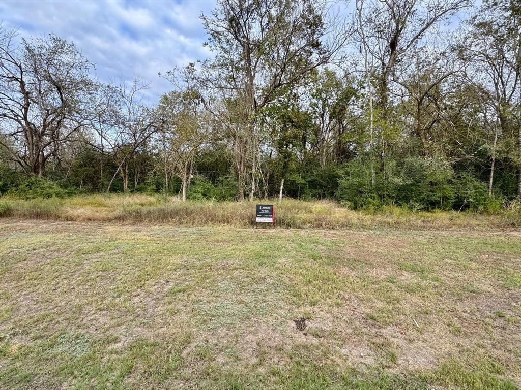 0000 Wooded Reserve Court, Washington, Texas image 1