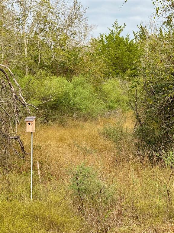 0000 Wooded Reserve Court, Washington, Texas image 2