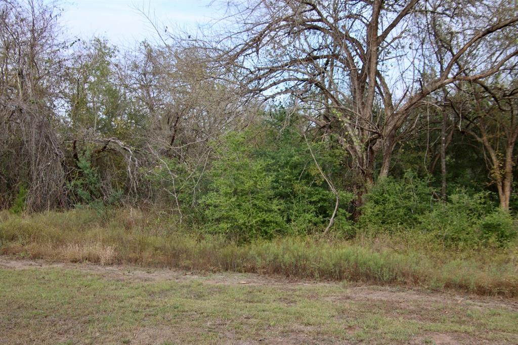 0000 Wooded Reserve Court, Washington, Texas image 11