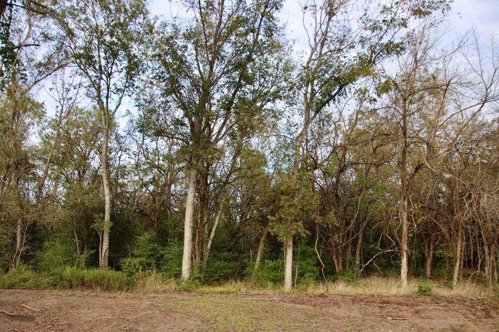 0000 Wooded Reserve Court, Washington, Texas image 10