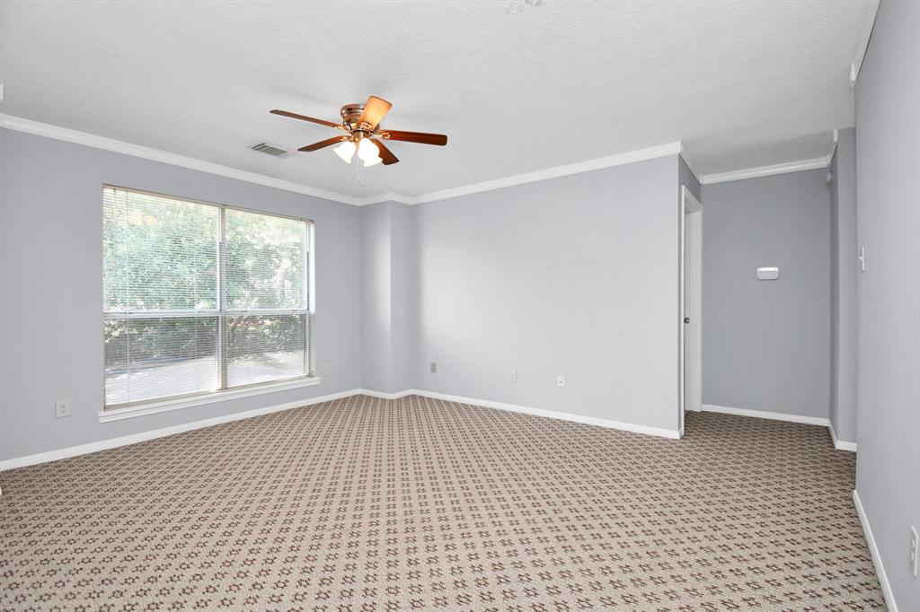 131 Lissa Lane, Sugar Land, Texas image 46