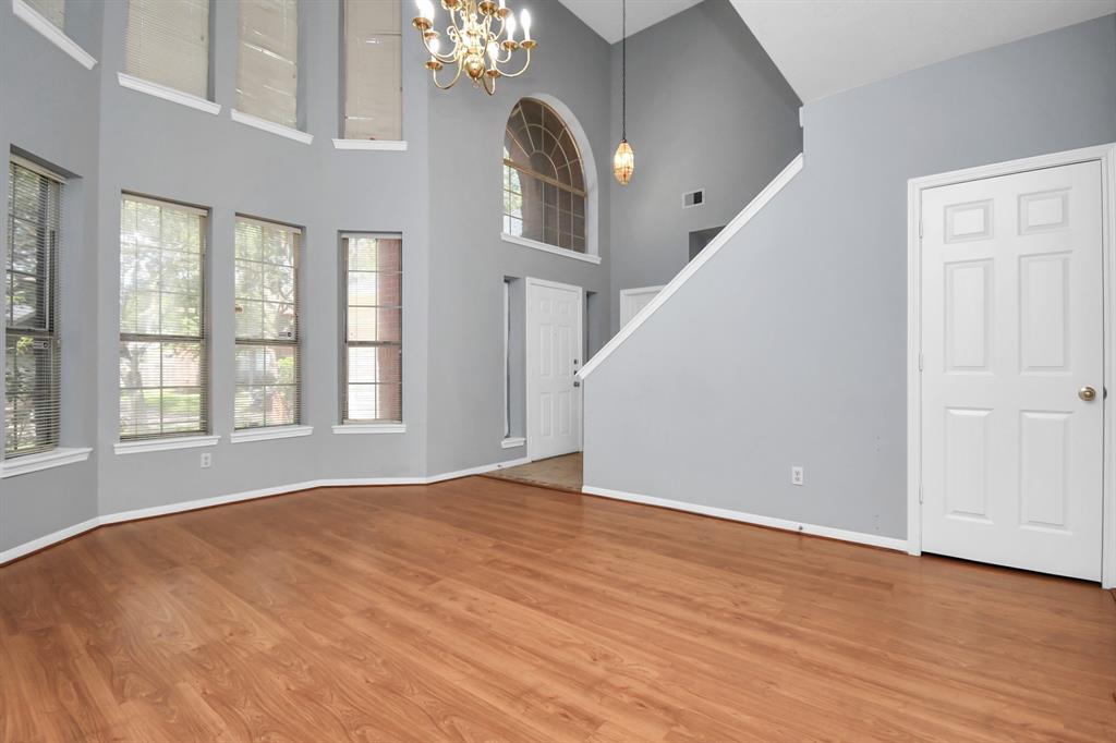 131 Lissa Lane, Sugar Land, Texas image 43