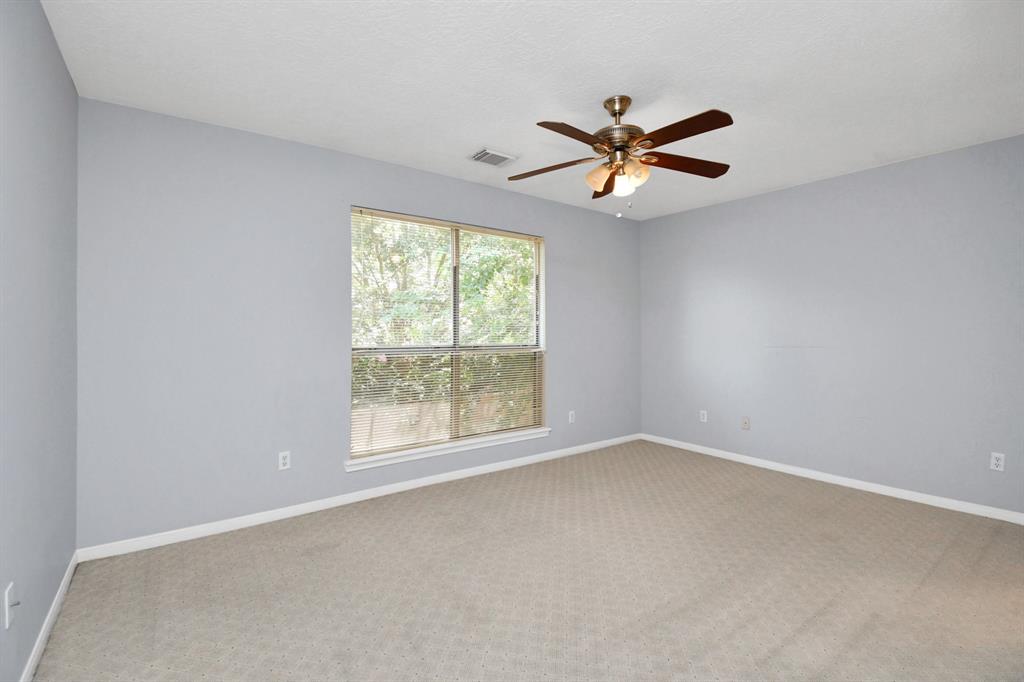 131 Lissa Lane, Sugar Land, Texas image 44