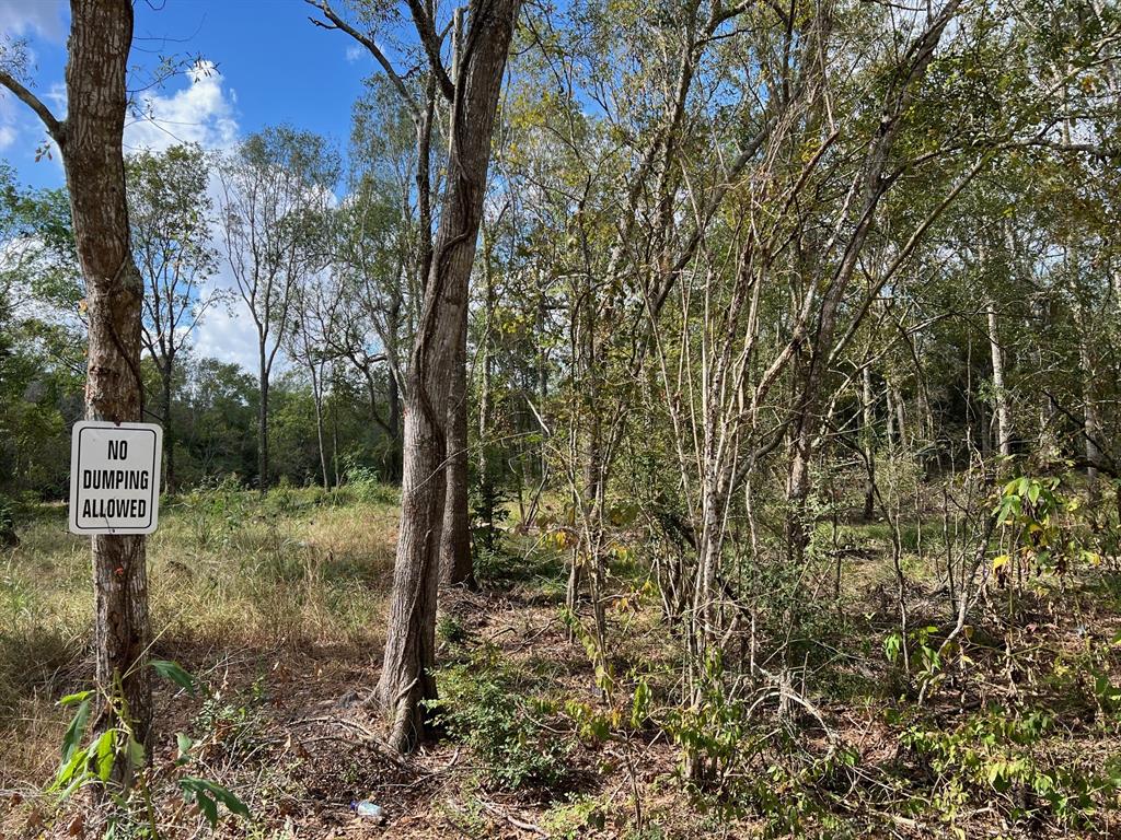 000 S Oak Bend Drive, Alvin, Texas image 6