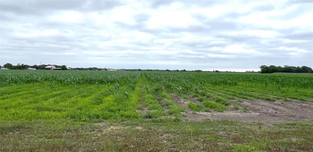 00 County Rd 390, El Campo, Texas image 5