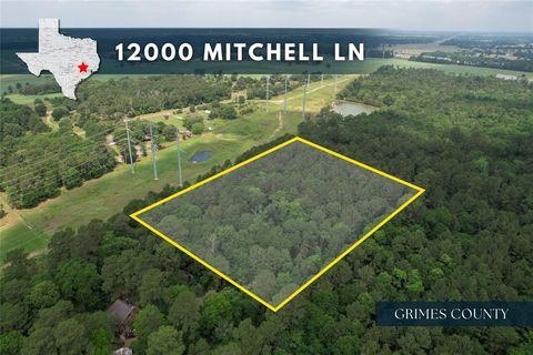 12000 Mitchell Lane Plantersville TX 77363
