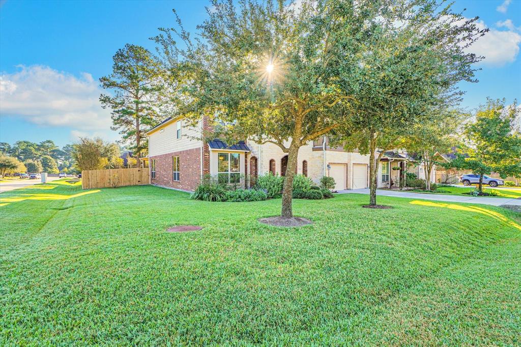 22214 Pine Tree Drive, Tomball, Texas image 5