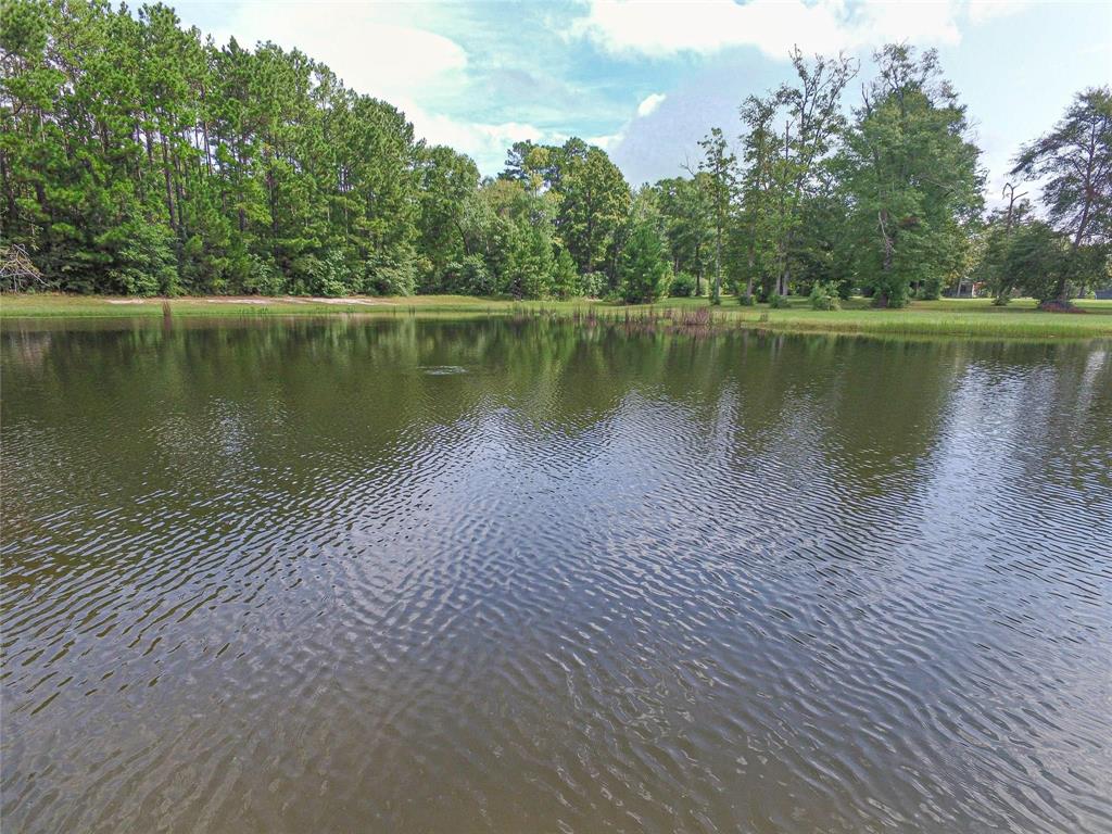 4180 N Highway 59, Livingston, Texas image 3