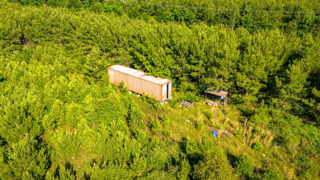 1712 Road 66115, Dayton, Texas image 18