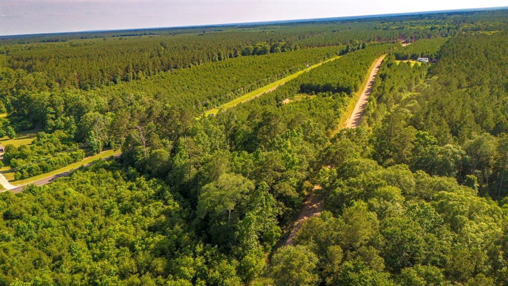 1712 Road 66115, Dayton, Texas image 7