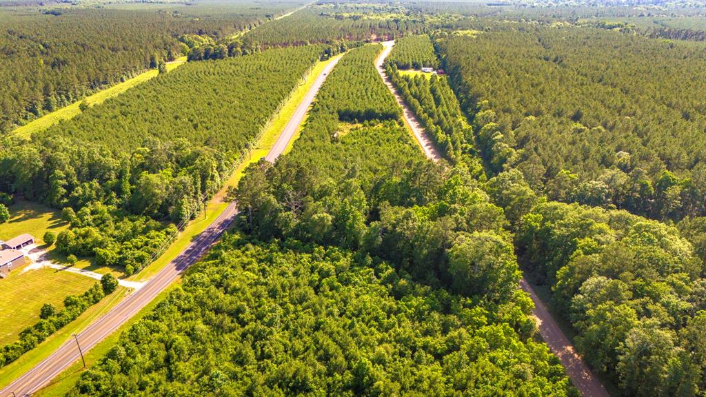1712 Road 66115, Dayton, Texas image 14