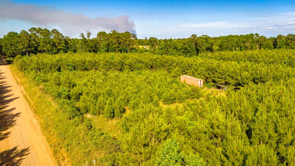 1712 Road 66115, Dayton, Texas image 19