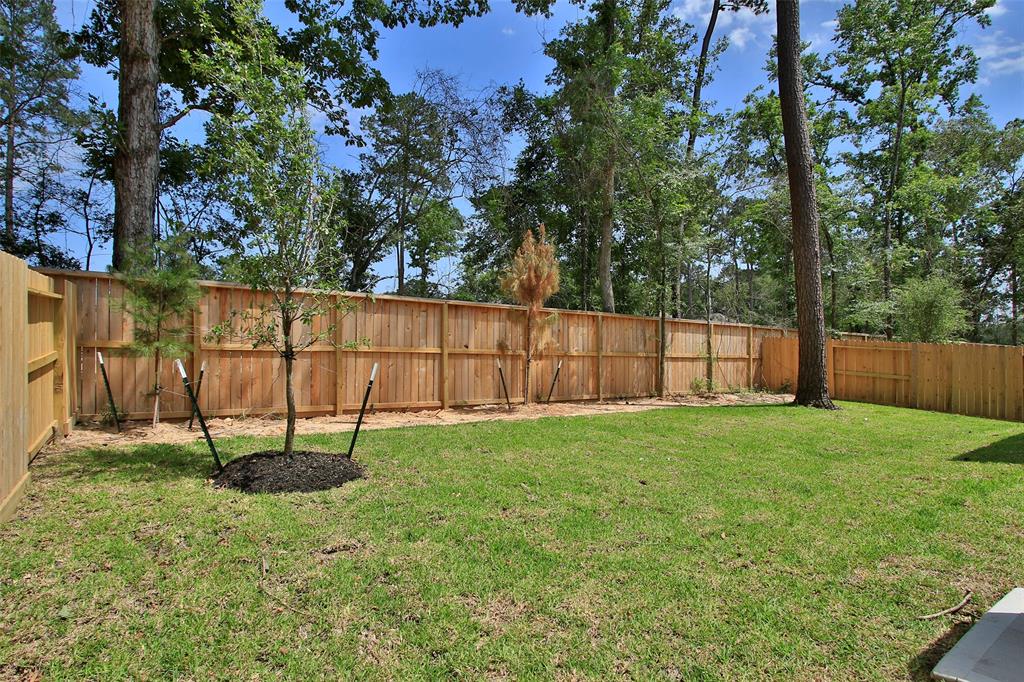 114 Mockingbird Trails Drive, Willis, Texas image 41