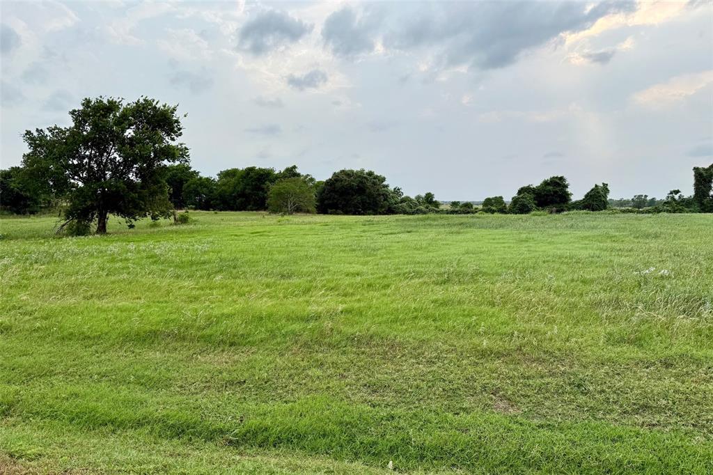 1185 Bluebonnet Ridge Drive, Chappell Hill, Texas image 3