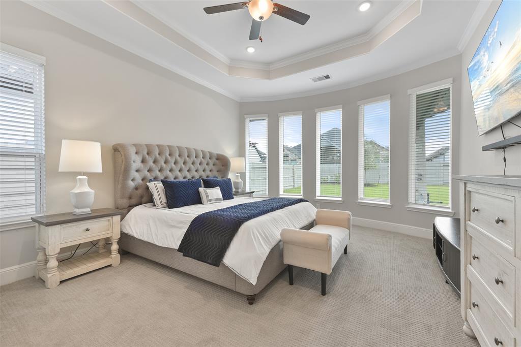 4907 Olive Province Lane, Manvel, Texas image 18