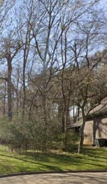 Walden 10 Pebble Beach Circle, Montgomery, Texas image 6