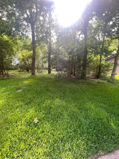 Walden 10 Pebble Beach Circle, Montgomery, Texas image 5