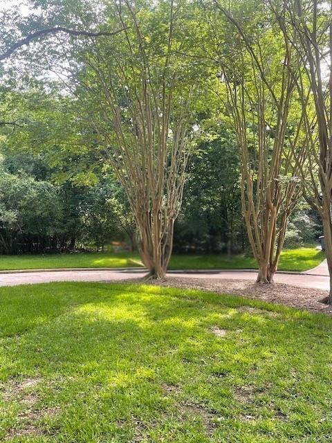 Walden 10 Pebble Beach Circle, Montgomery, Texas image 2