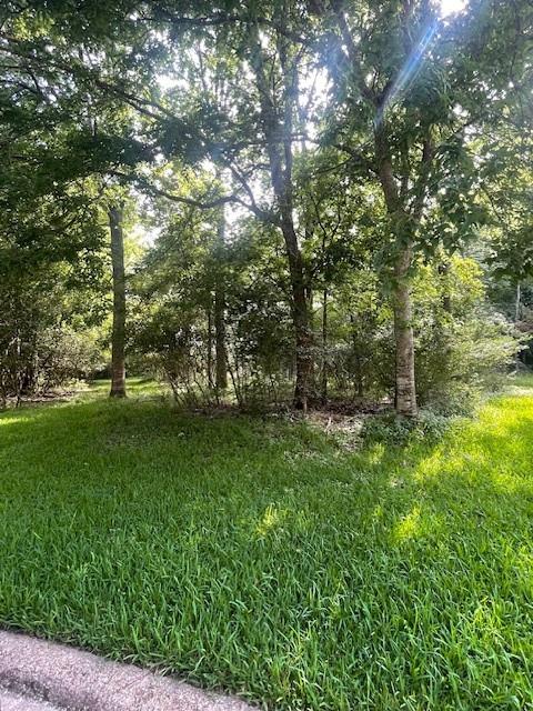 Walden 10 Pebble Beach Circle, Montgomery, Texas image 1