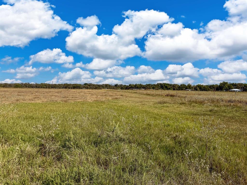 30 Acres Tract 5 Fm 2745, Kosse, Texas image 16