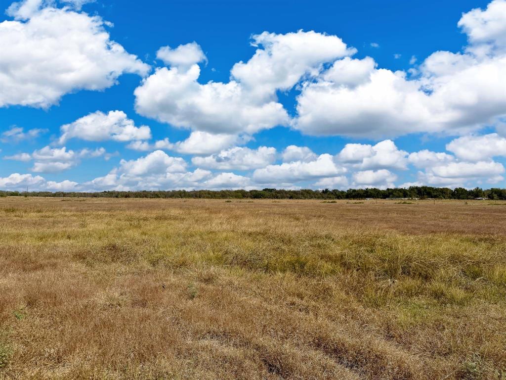 30 Acres Tract 5 Fm 2745, Kosse, Texas image 18