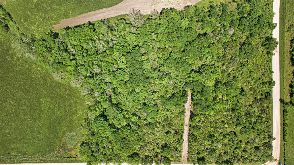 2600 Felder Road, Chappell Hill, Texas image 14