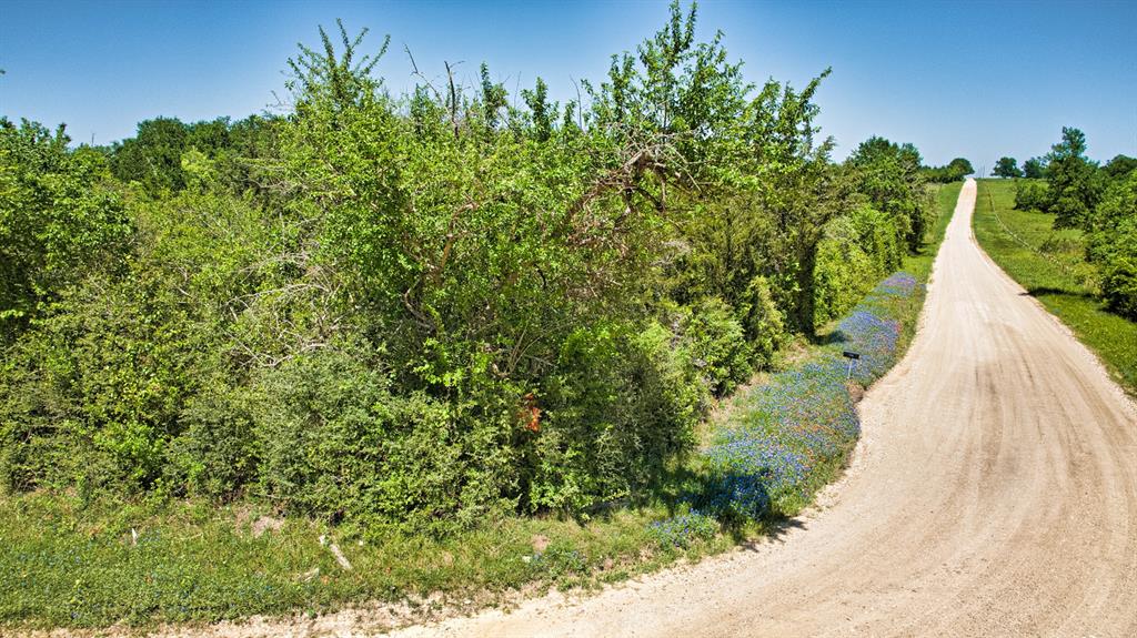 2600 Felder Road, Chappell Hill, Texas image 5