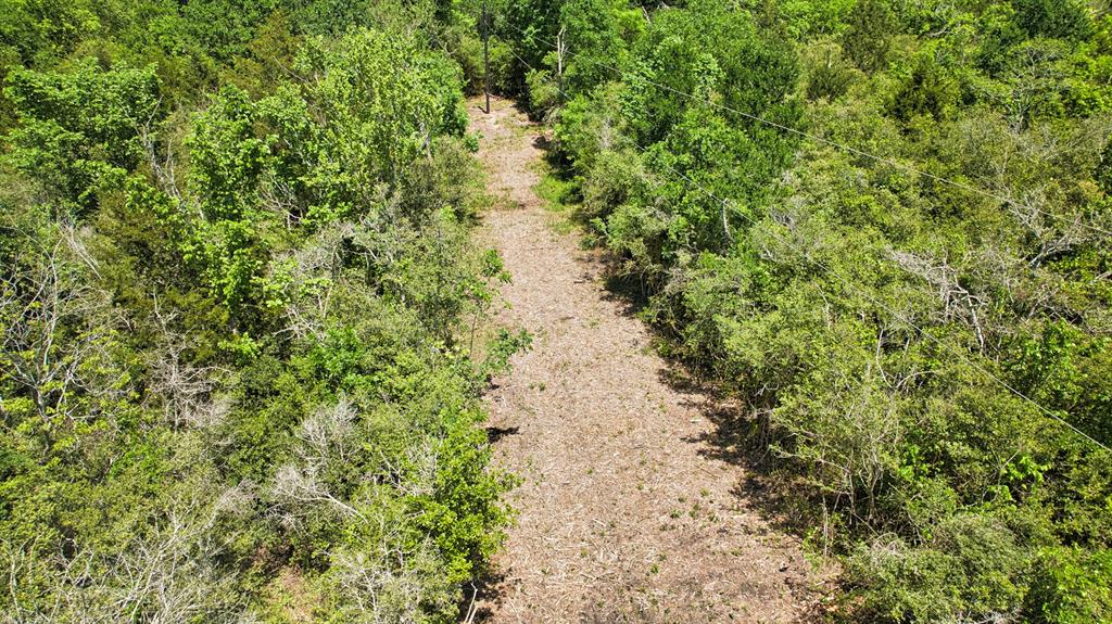 2600 Felder Road, Chappell Hill, Texas image 17