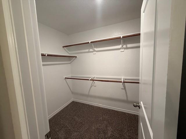 6206 Raleigh Drive, College Station, Texas image 4