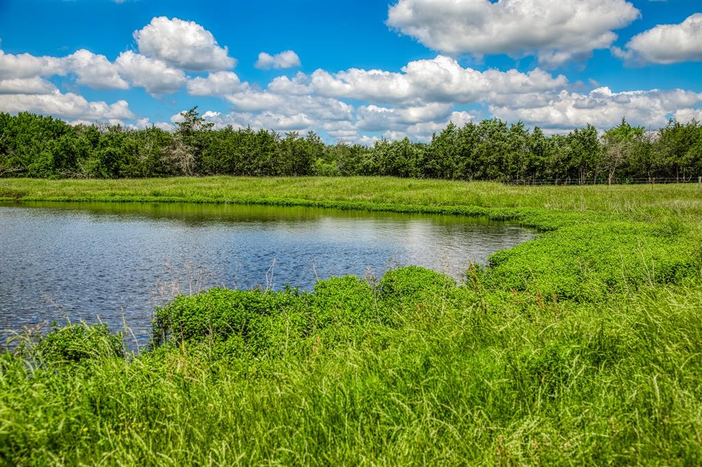 1850 Lcr 439, Groesbeck, Texas image 2