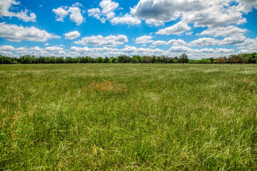 1850 Lcr 439, Groesbeck, Texas image 41
