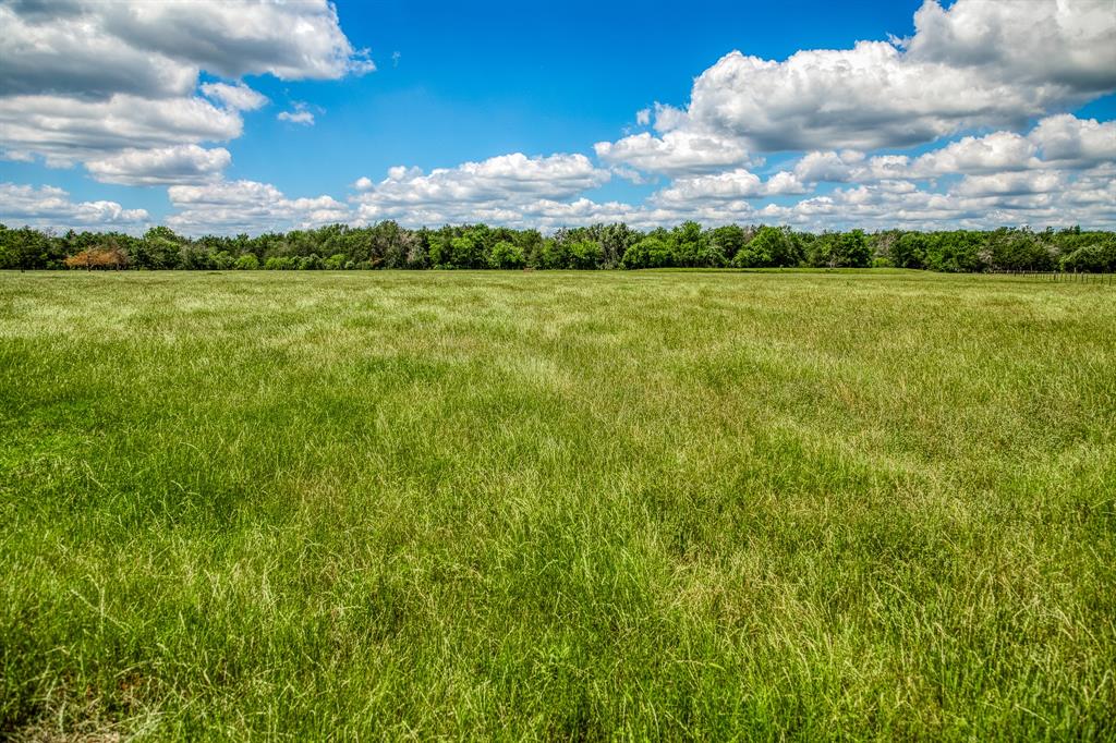 1850 Lcr 439, Groesbeck, Texas image 40