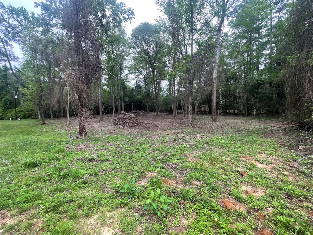 Eastridge Road, Goodrich, Texas image 6