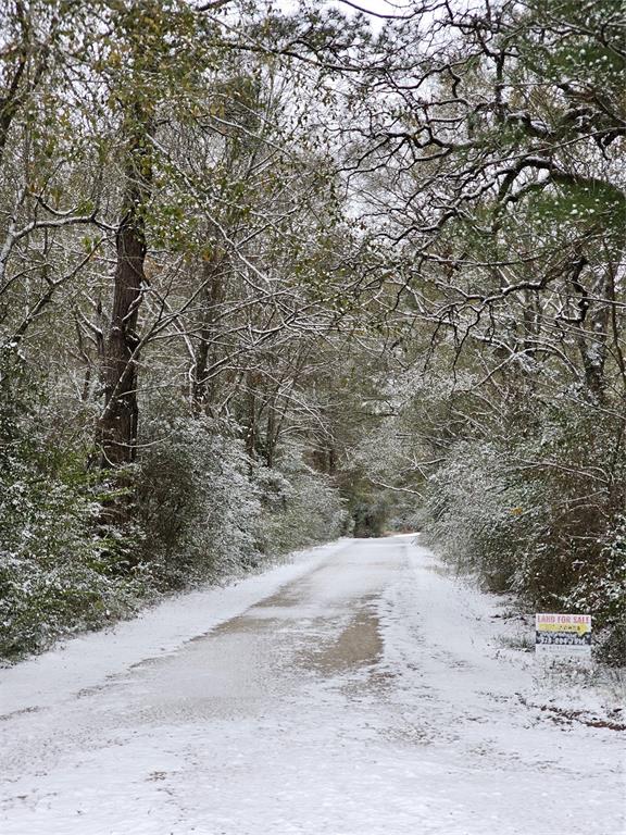 TBD County Road 209, Plantersville, Texas image 2