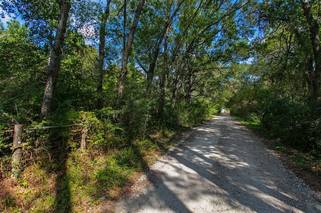 TBD County Road 209, Plantersville, Texas image 3