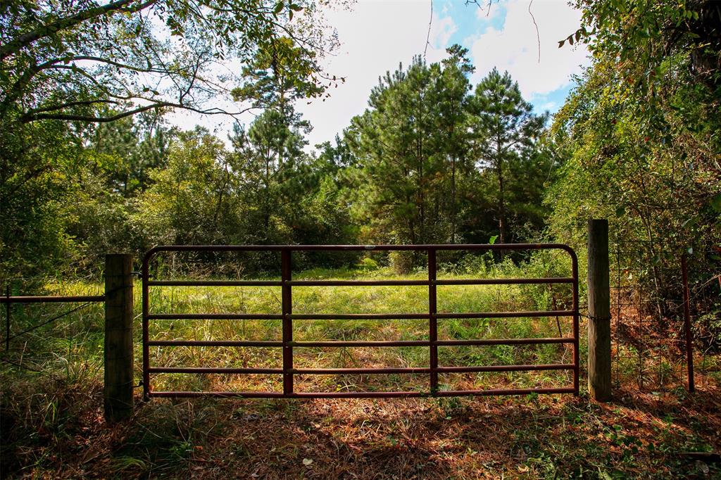 TBD County Road 209, Plantersville, Texas image 6