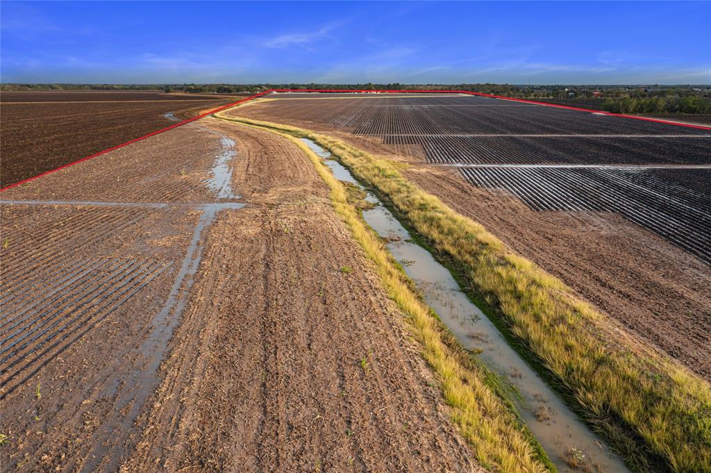 Fenske Lane, Needville, Texas image 10