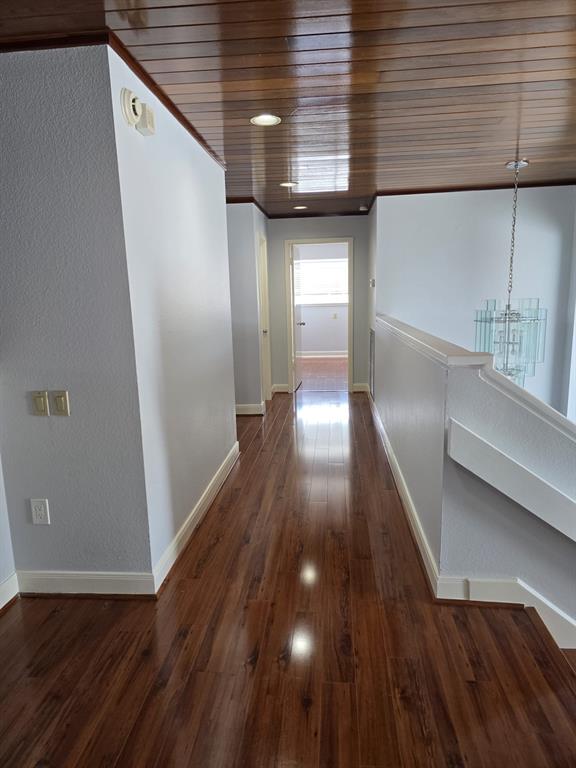 12203 Ashley Circle Drive, Houston, Texas image 17