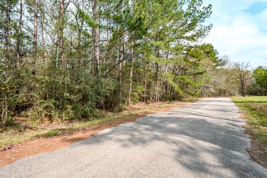 3521 Magnolia Drive, Porter, Texas image 5