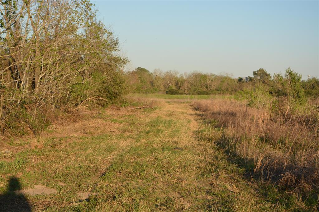 Jasmine Street, Fresno, Texas image 26