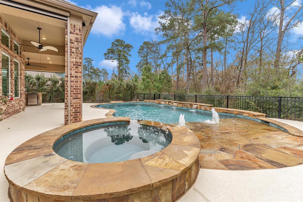 412 Callery Pear Ct Court, Conroe, Texas image 1