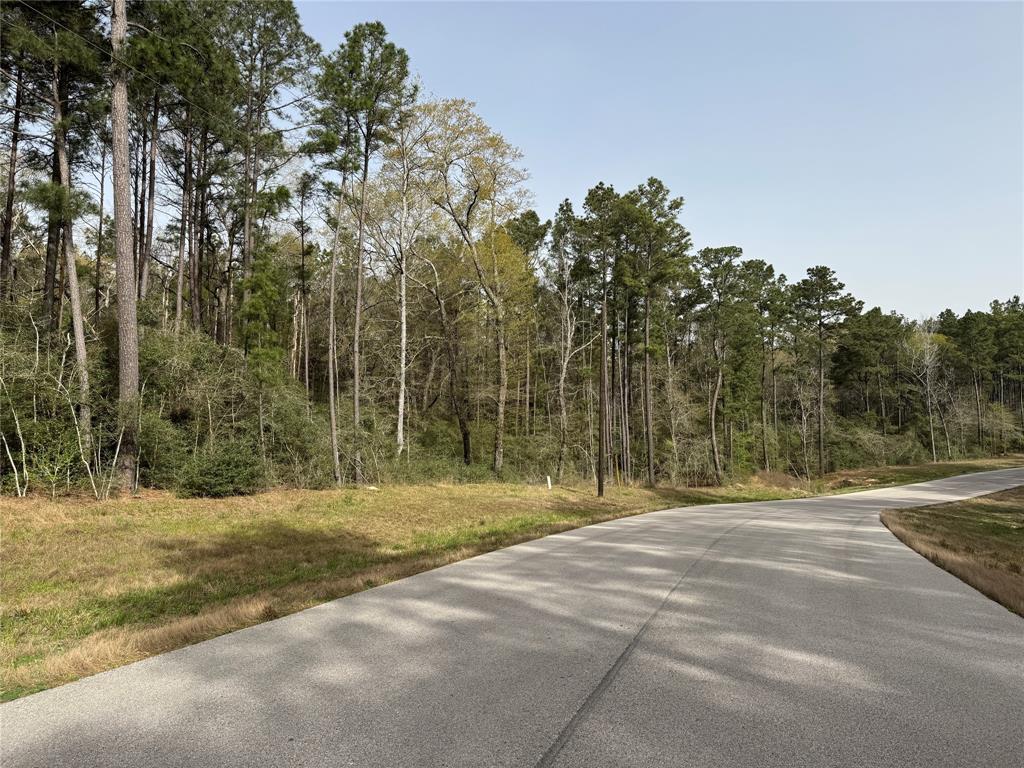 11-22-42 Grey Feather Road, Huntsville, Texas image 5