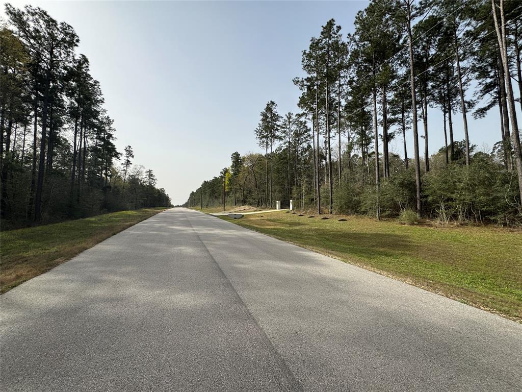 11-22-42 Grey Feather Road, Huntsville, Texas image 7