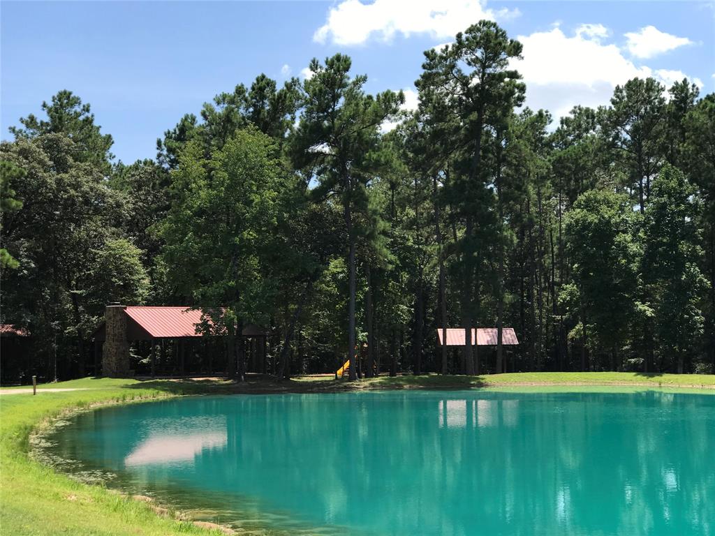 11-22-42 Grey Feather Road, Huntsville, Texas image 13