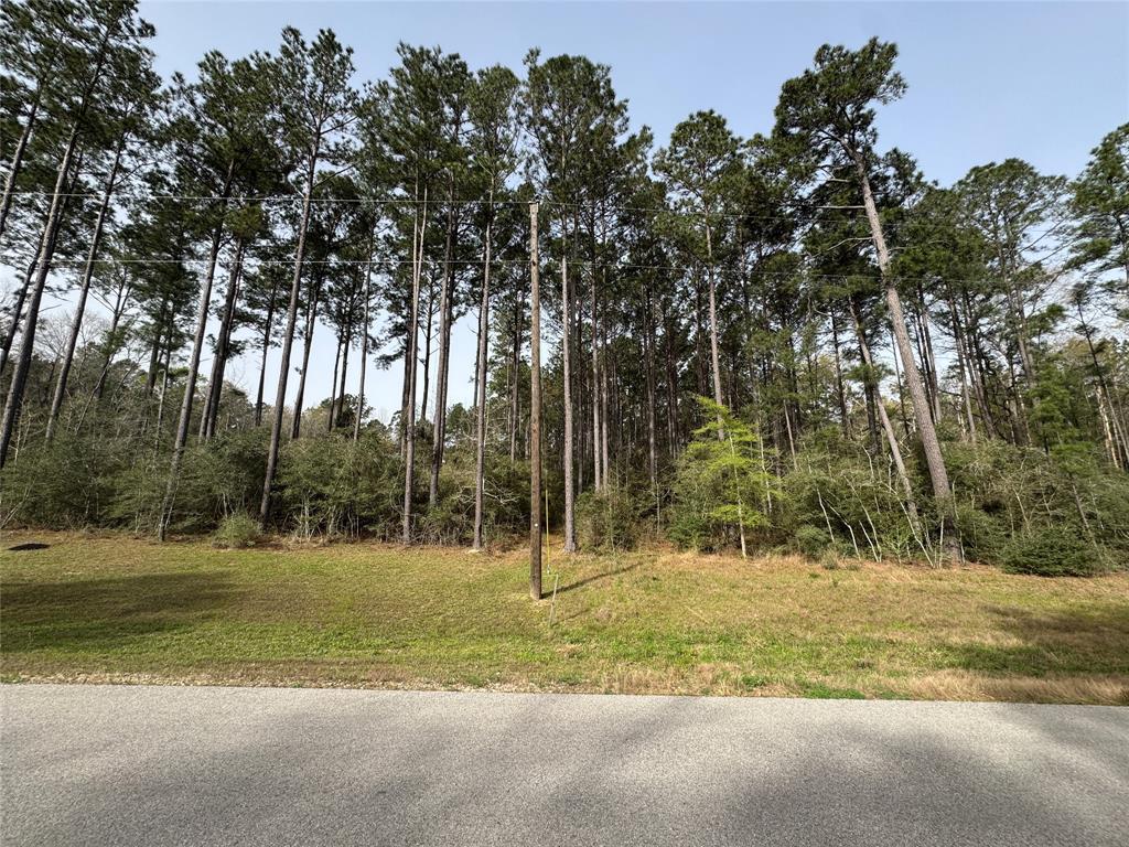 11-22-42 Grey Feather Road, Huntsville, Texas image 6