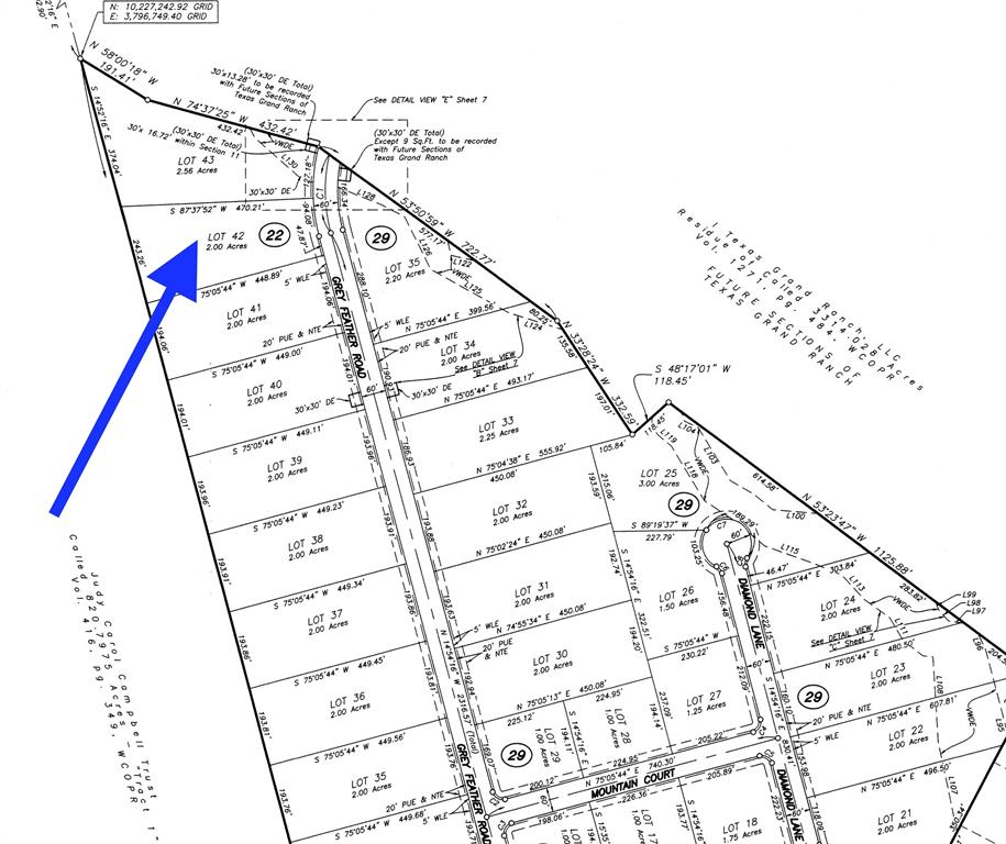 11-22-42 Grey Feather Road, Huntsville, Texas image 3