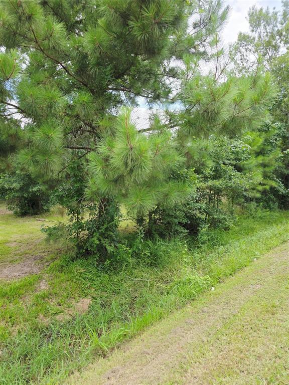 50 Robert E Lee Drive
